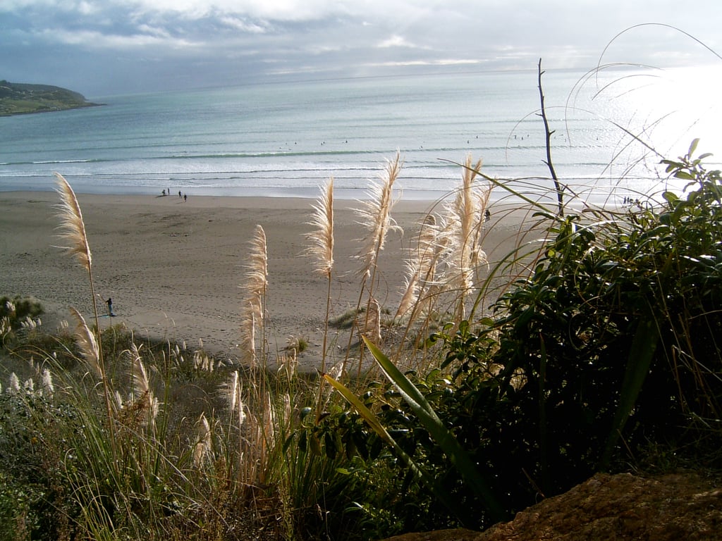 Improve your mental health with a trip to Raglan!