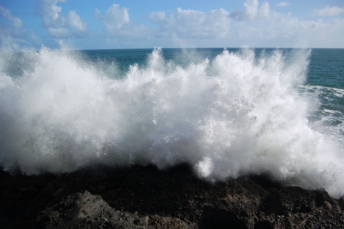 Rock and coastal fishing is behind too many drowning deaths in New Zealand