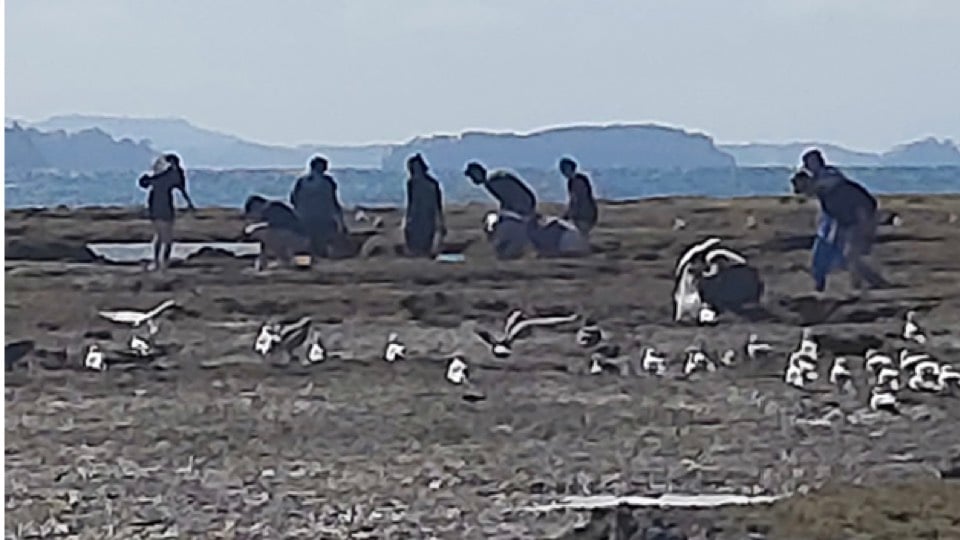 More education is required to halt rockpool pillaging