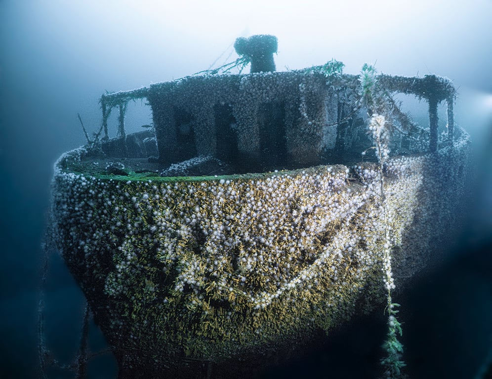 This no-holds-barred documentary takes  the viewer to unseen worlds