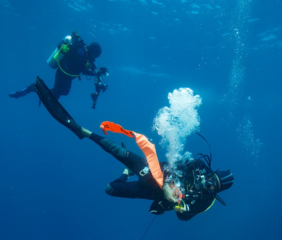 SMBS and DSMBS are common and essential safety devices