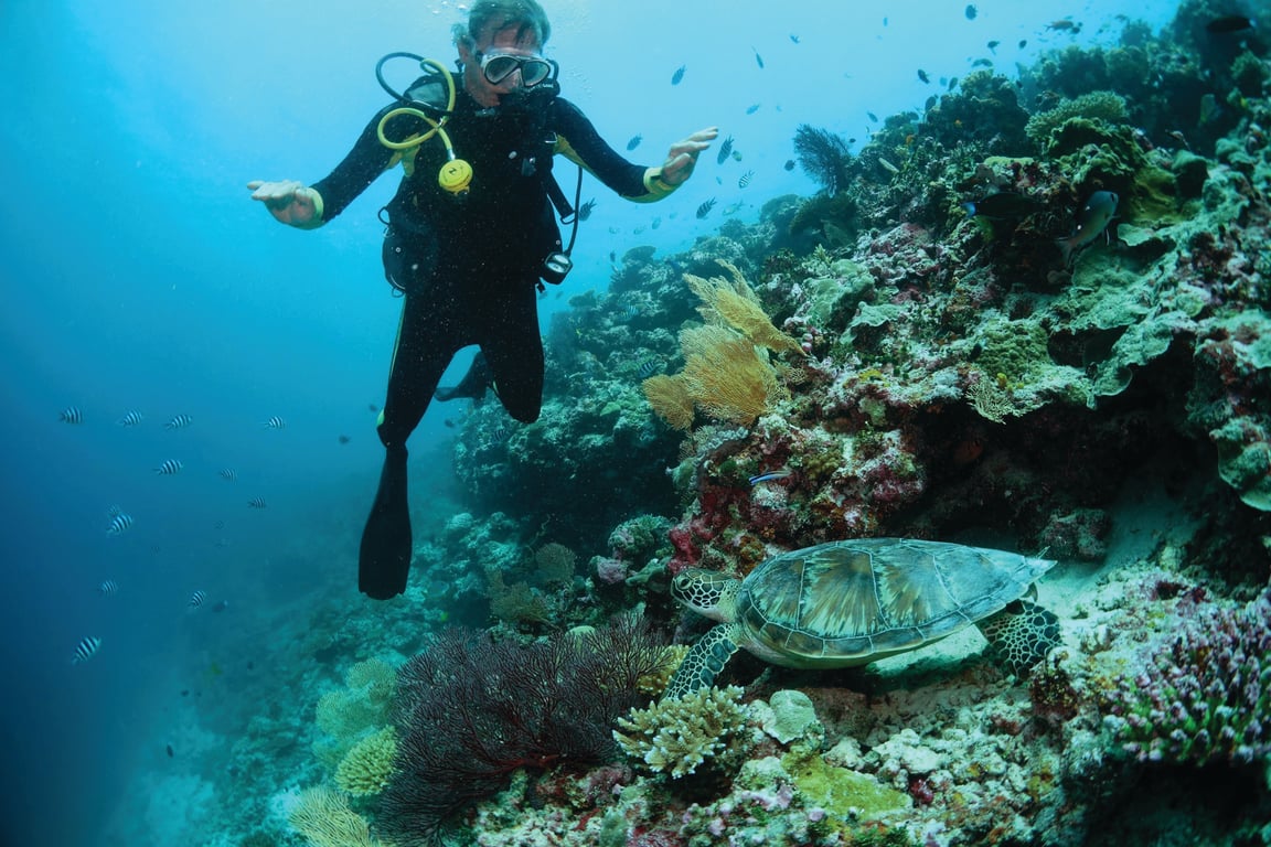 Kennedy's underwater encounters has led to a bigger question about human engagement with the sea