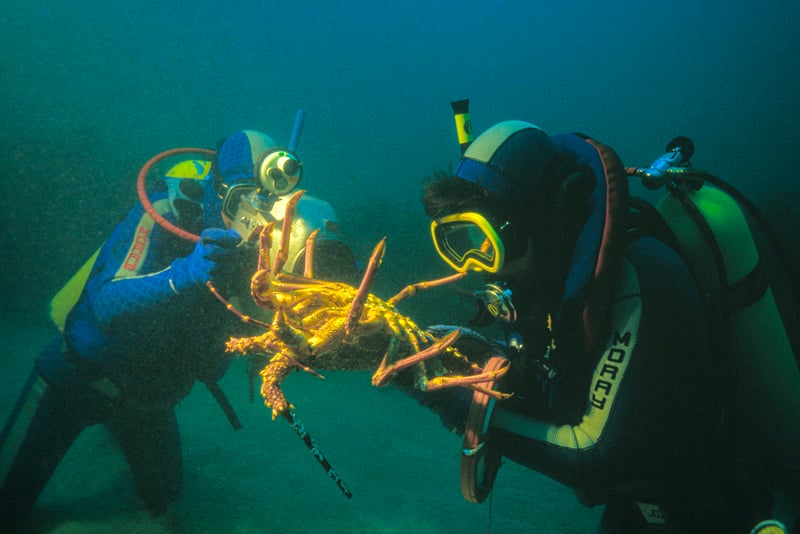 Andrew Penniket has a unique viewpoint on the underwater world