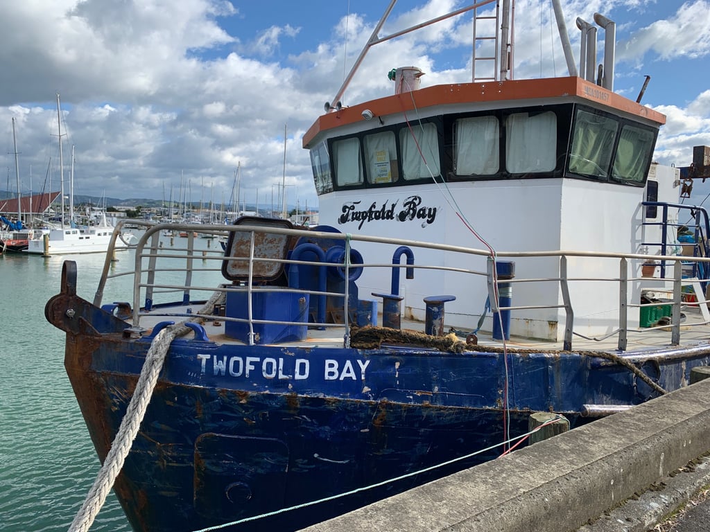 The Twofold Bay will be sunk off the Napier coast