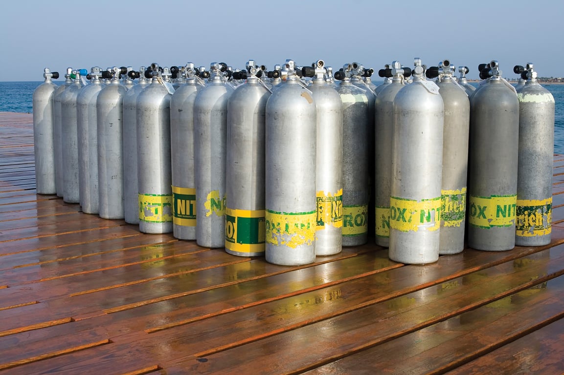 Nitrox divers, rebreather divers, and divers breathing gases with a high percentage of oxygen are at risk of oxygen toxicity