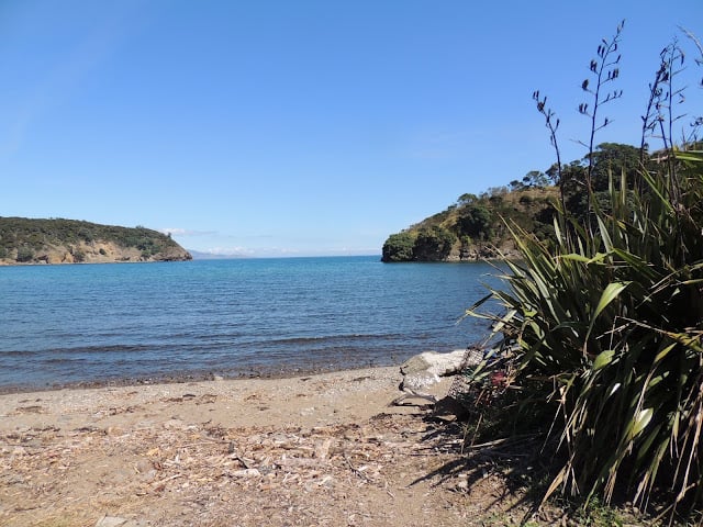Locals have requested management measures for both commercial and recreational fishers