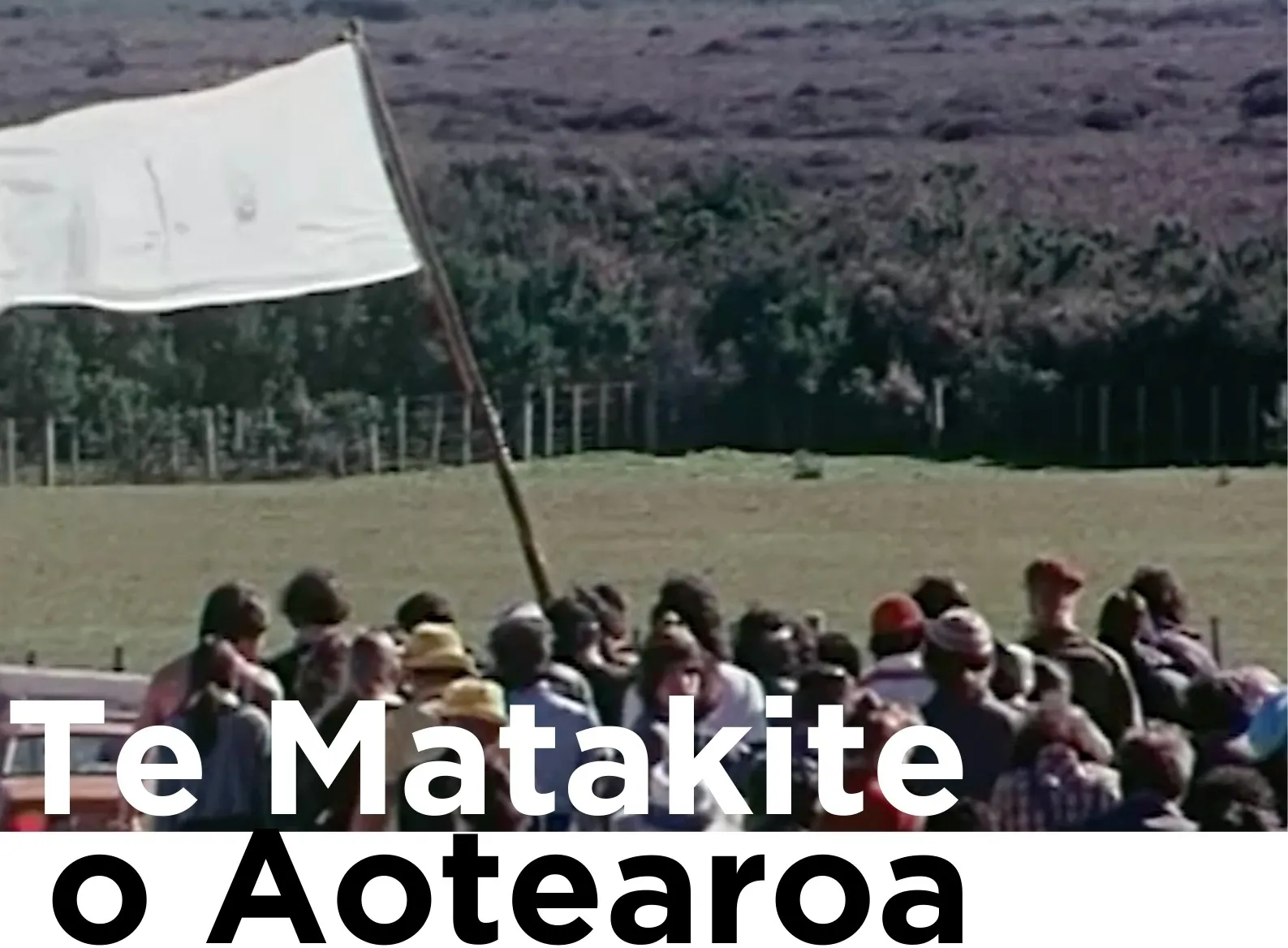 He Kākāriki Pōwhaitere