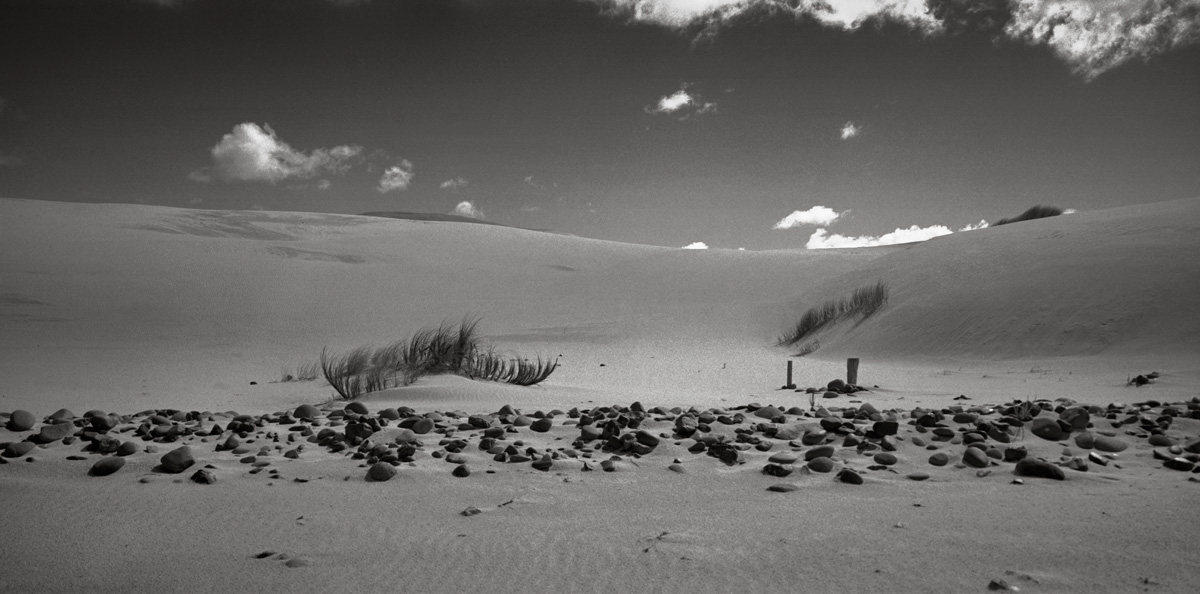 Toi Ngāpuhi is an advocacy