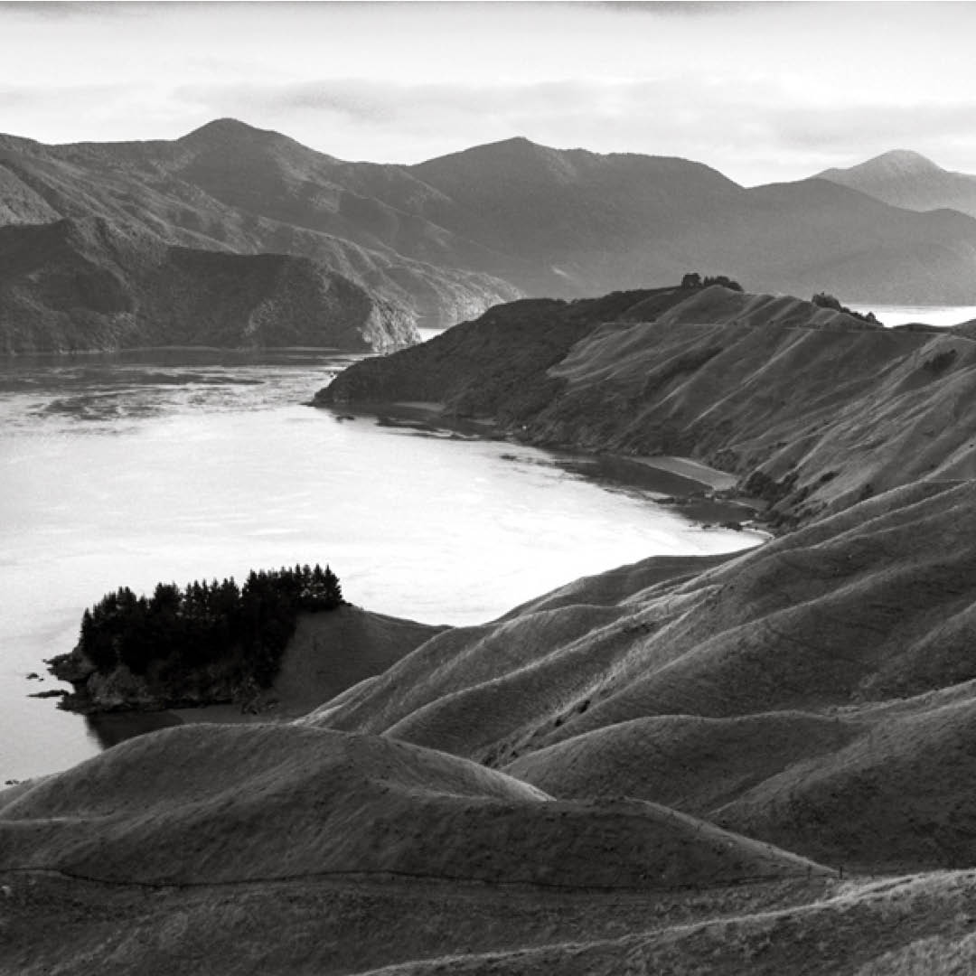 Temporary exhibition - He Kākāriki Pōwhaitere