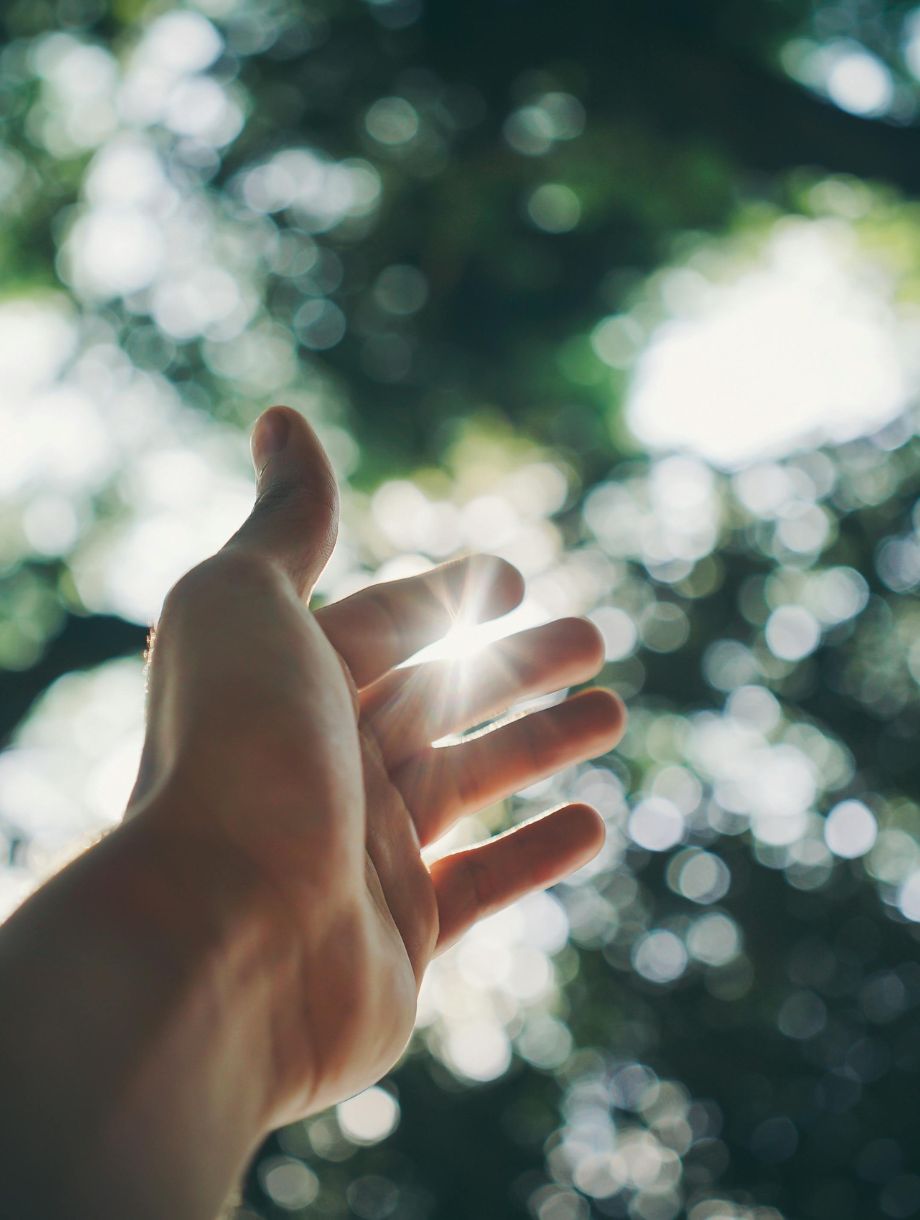 __wf_reserved_inherit