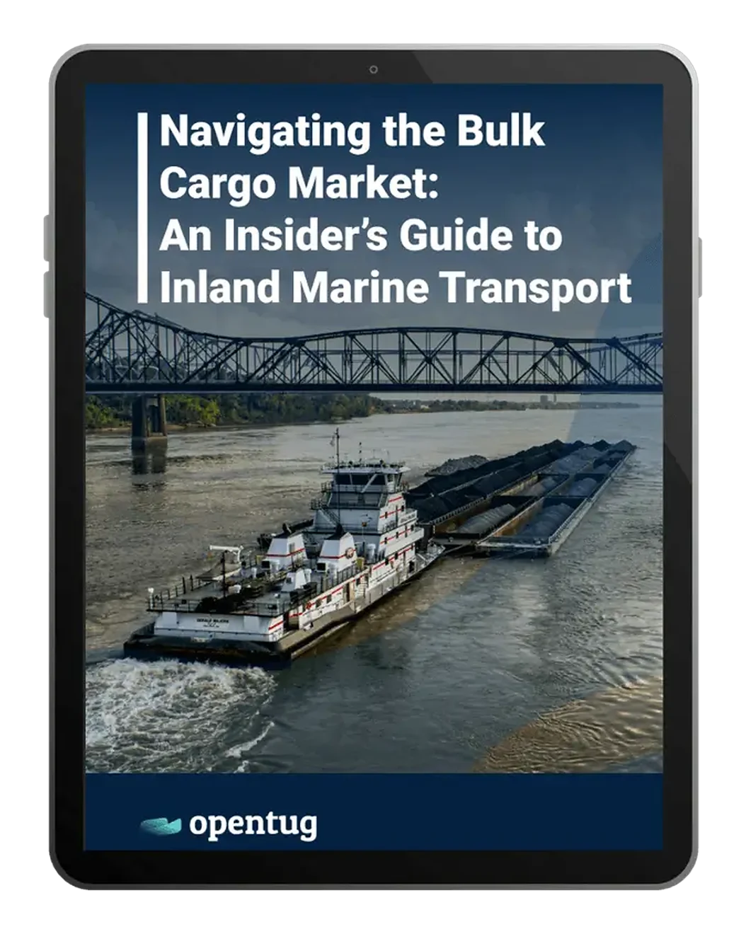 Navigating the Bulk Cargo Market: An Insider's Guide to Inland Marine Transport
