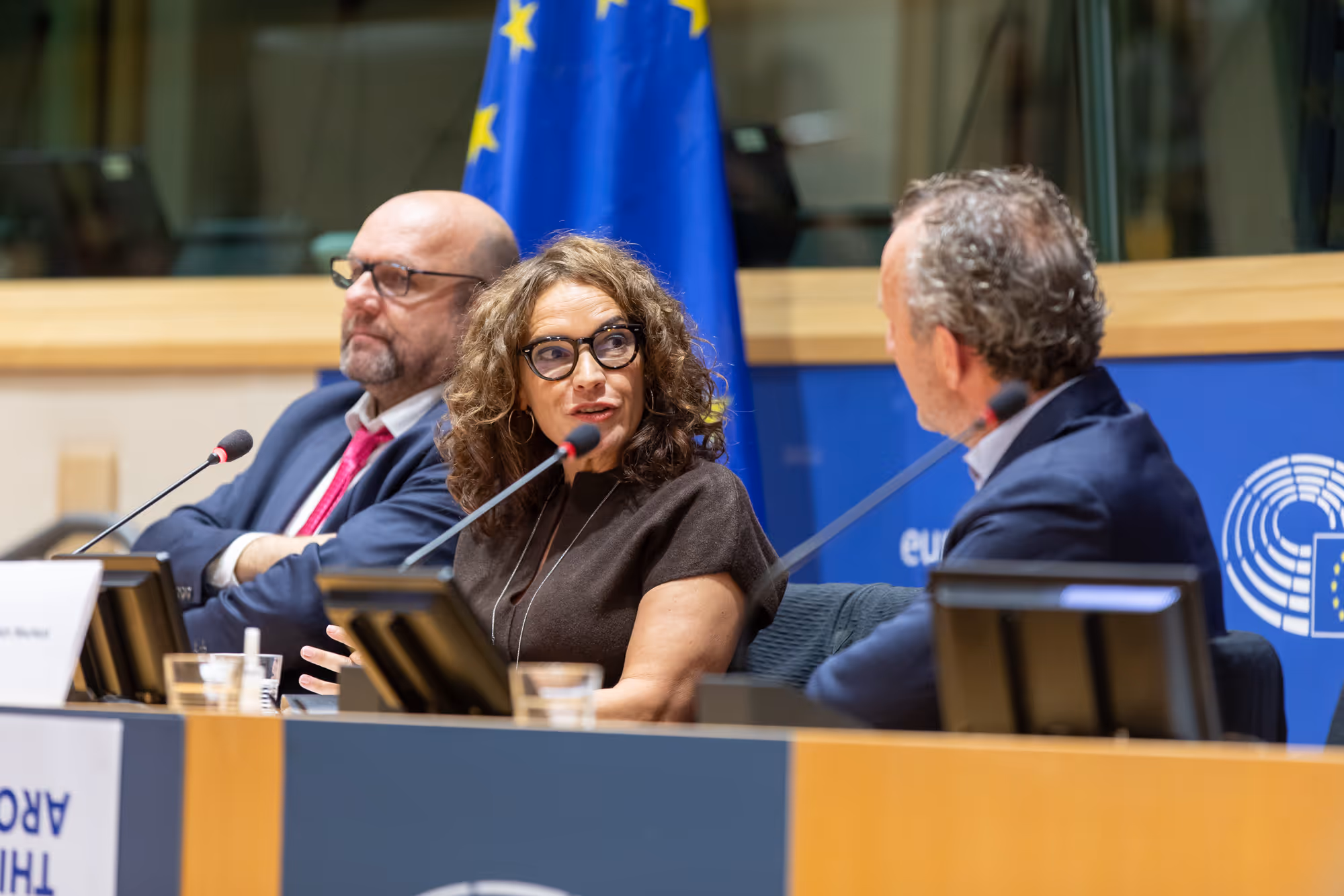 European Parliament, EISMEA, Gender Gap in Investments, EWVC, European Women in VC, Nov 4th, Report launch, MEP Lina Galvez, Jean-David Malo