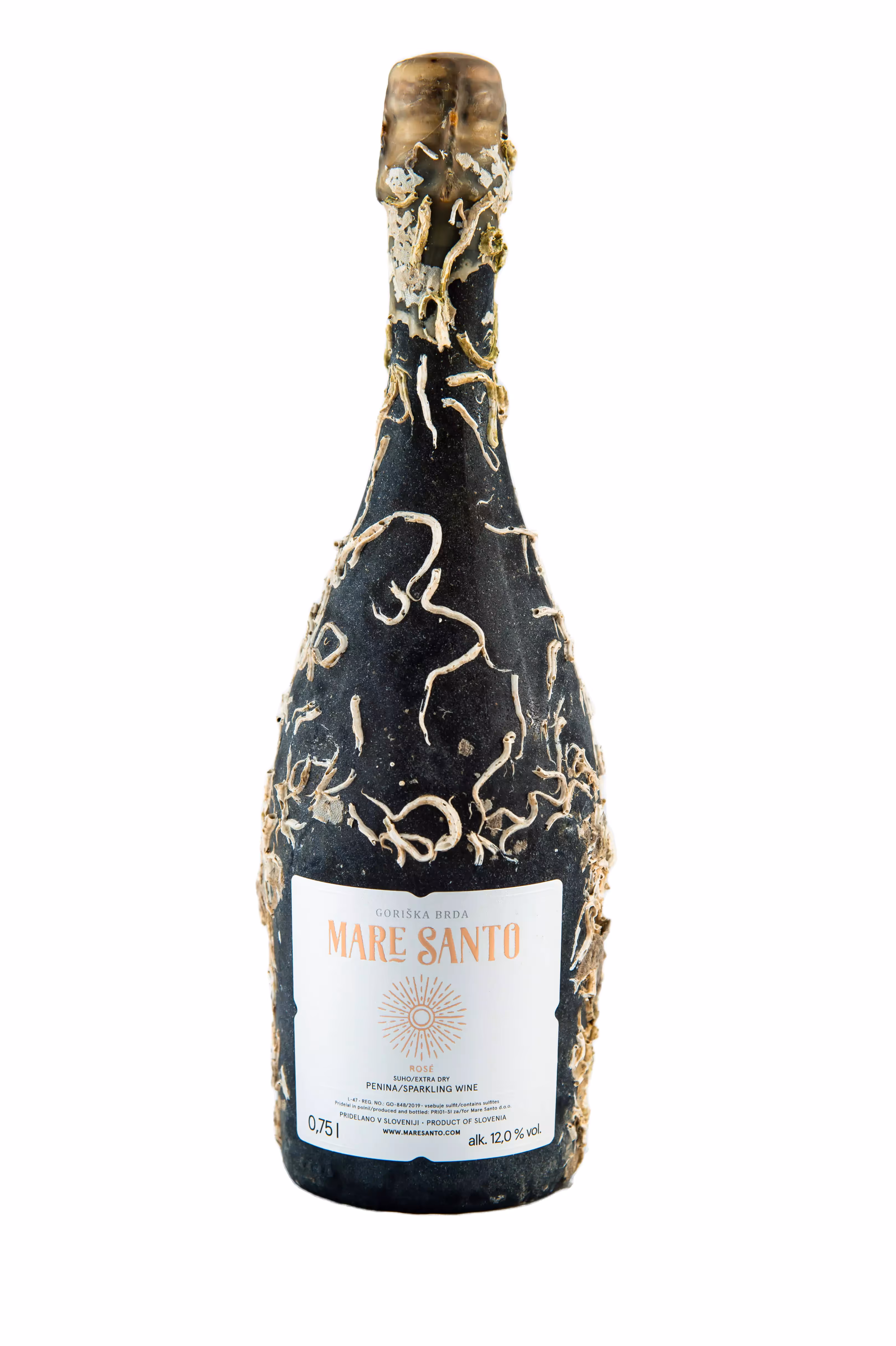 Mare Santo Rose