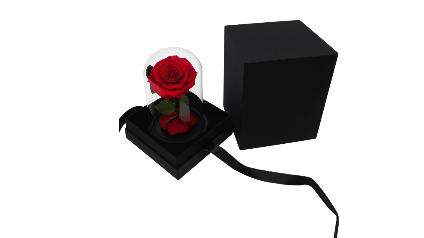 Večna ruža u staklu-crvena