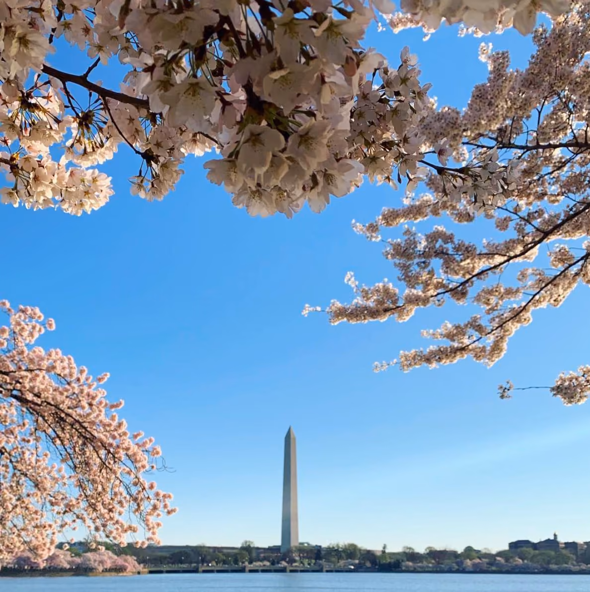 Single Family DC TOPA Roadmap