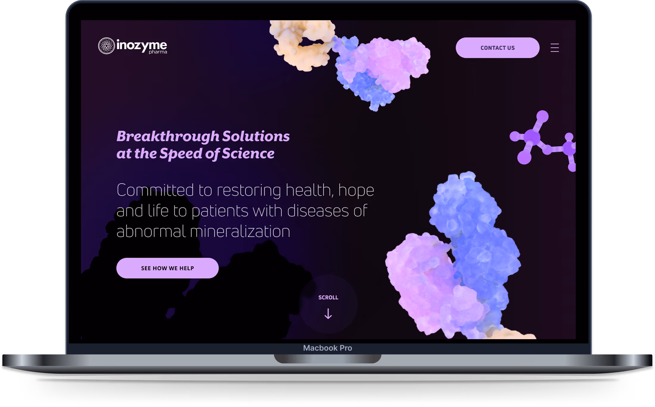 Inozyme case study