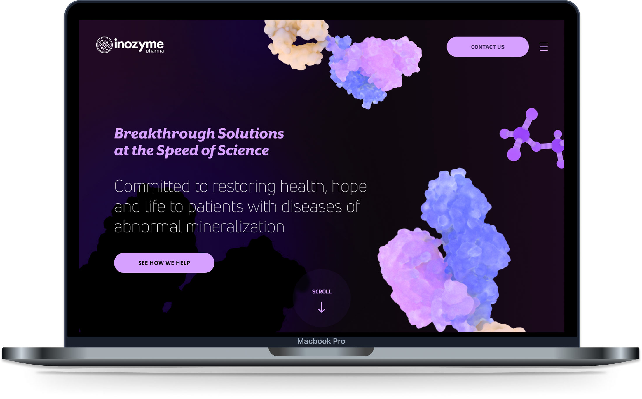 Inozyme case study