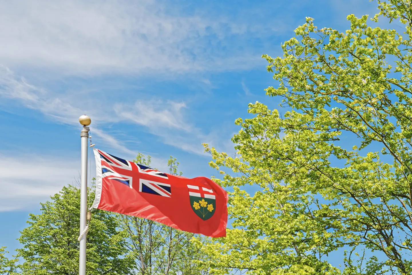 Ontario Government Introduces the Building a More Competitive Economy Act, 2025.