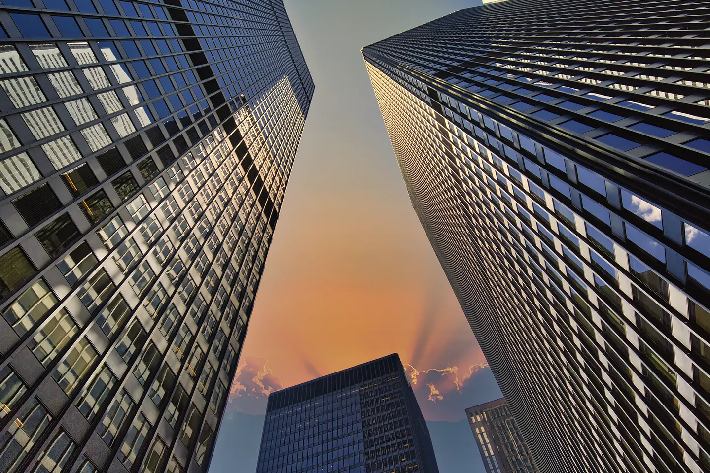 Pat Sackville Joins Sussex Strategy Group as Partner & Head, Strategy & Growth