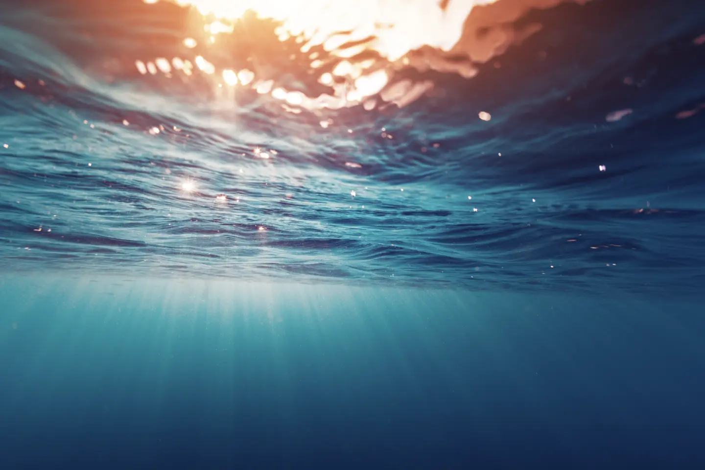 Canada's Blue Economy: A Strategic Engine for Growth and Climate Leadership 
