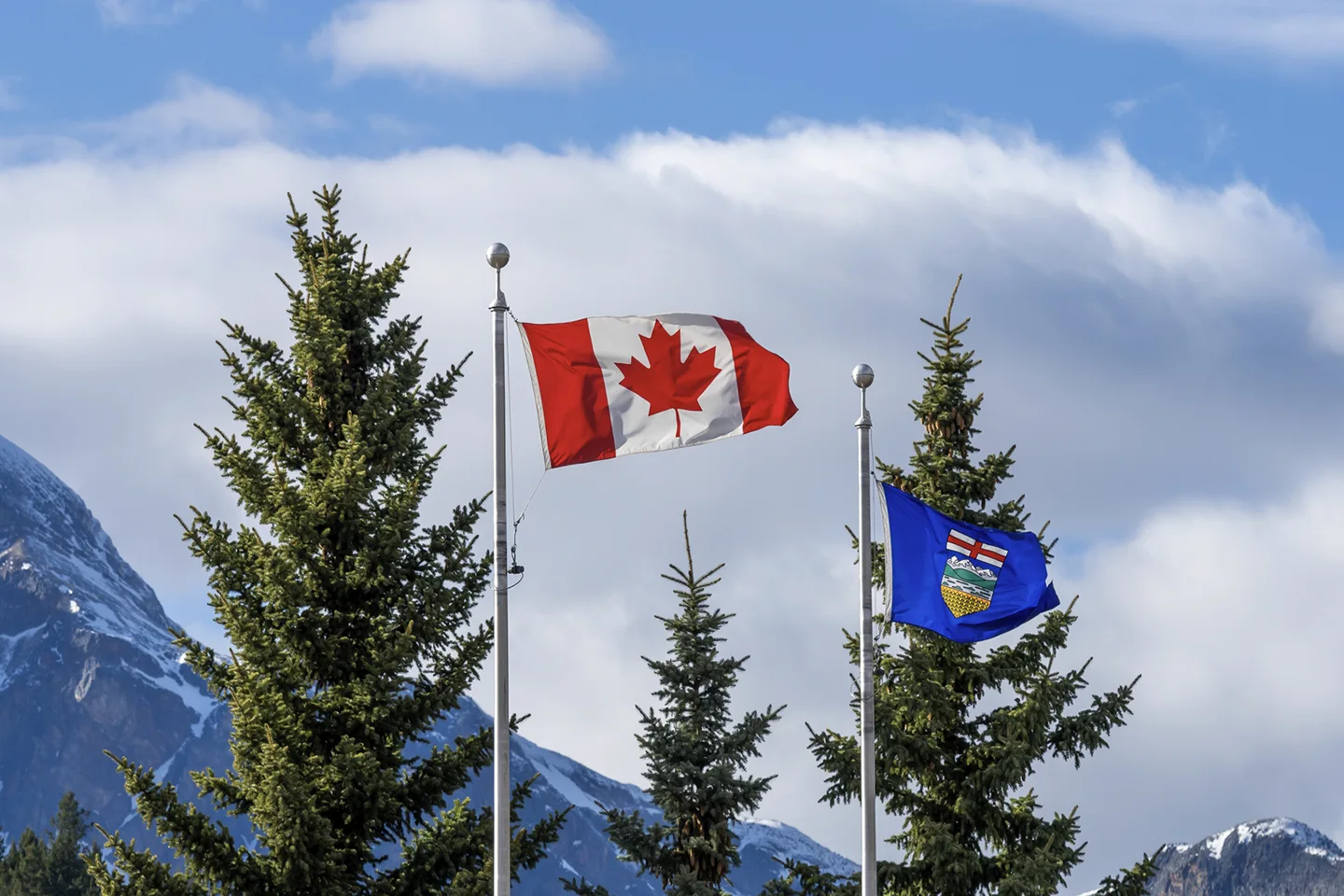 Alberta Referendum Results