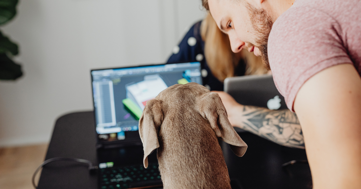 4 effectieve online marketing tips voor jouw dierenbedrijf
