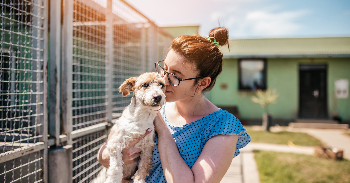 5 tips om van jouw dierenpension een succes te maken
