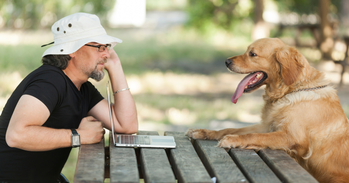 Zo stimuleer je mond-tot-mond reclame voor je hondenschool