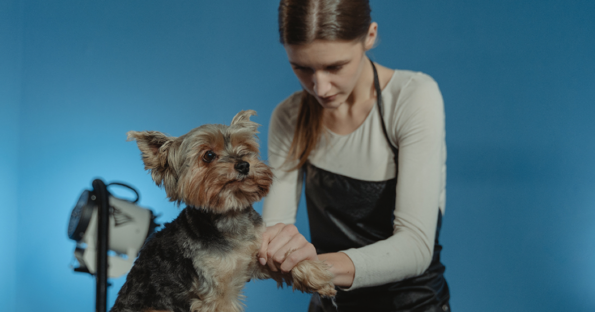 7 tips om nieuwe klanten te werven voor je trimsalon