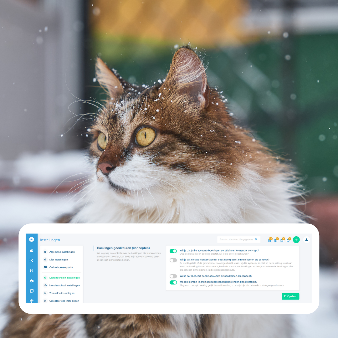 KennelCare updates december 2021 met alleen de eerste boeking als concept,  een extra optie voor het kortingstarief,  een grote verrassing... en meer!
