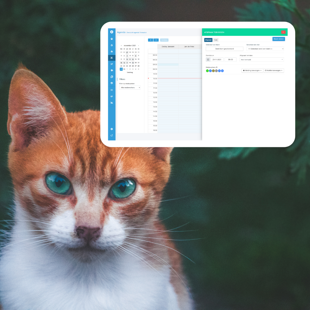 KennelCare updates november 2021 met een RSS feed waarmee dierenasielen dieren kunnen tonen op de website,  herhaalde afspraken voor trimsalons en meer!