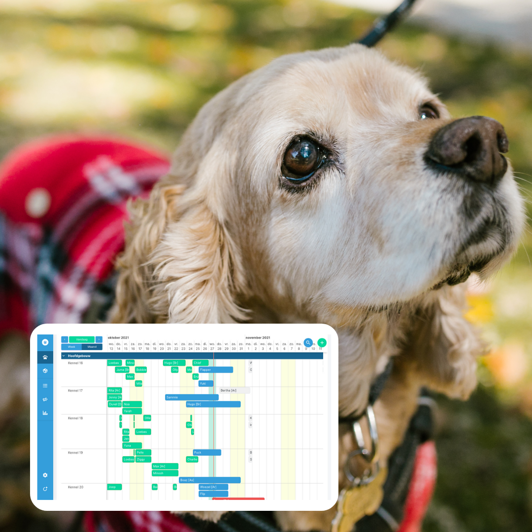 Tip voor dierenpensions: De planningskalender
