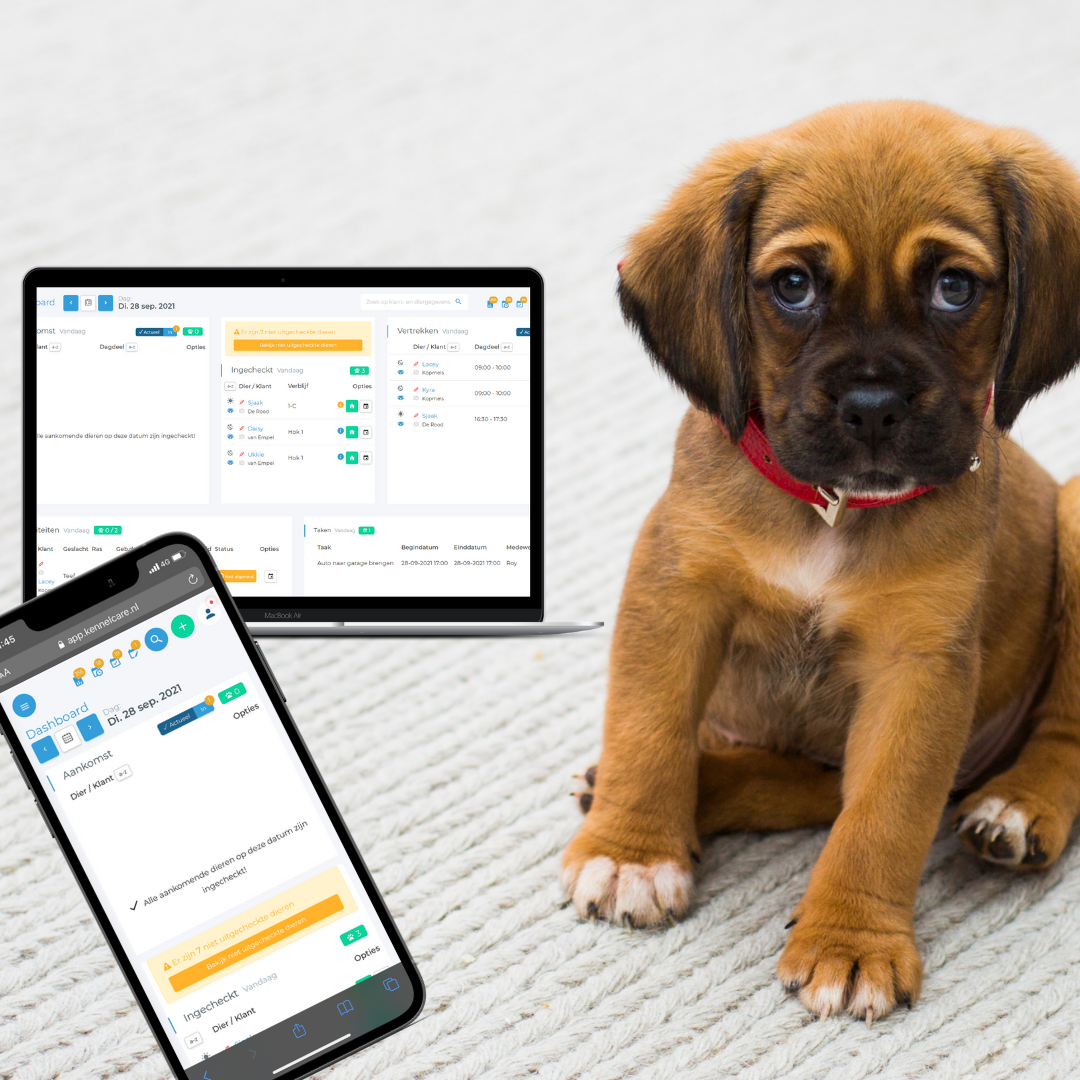 5 redenen waarom een digitale agenda je werk als dierprofessional makkelijker maakt