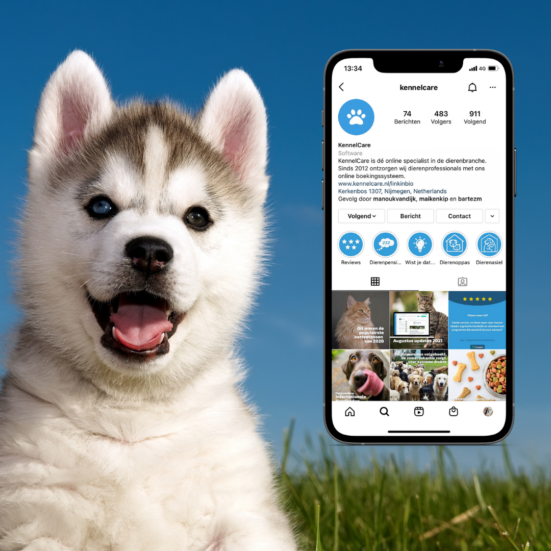 5 tips om meer online verkeer naar je website te genereren