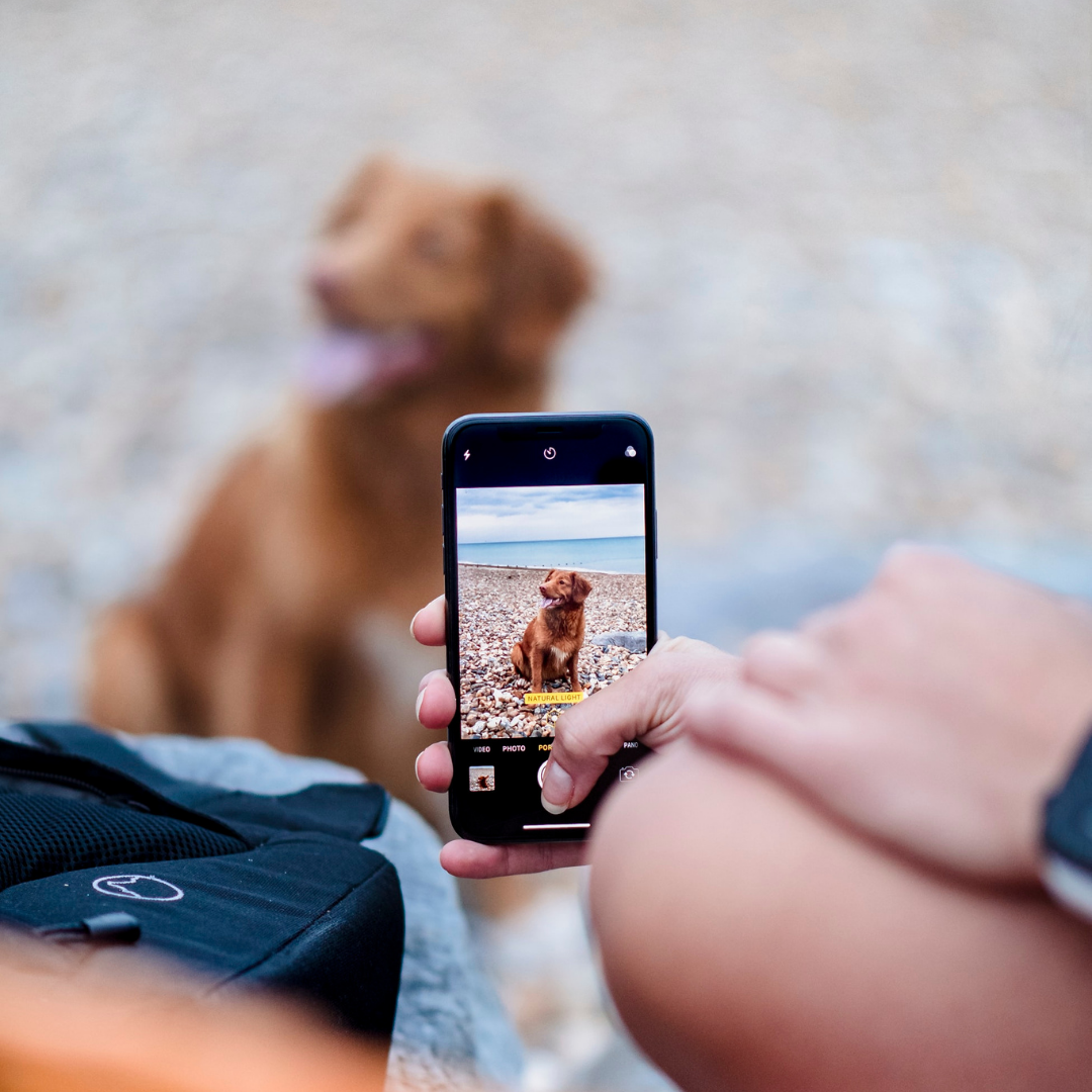 Is jouw bedrijf 'mobiel vriendelijk'?