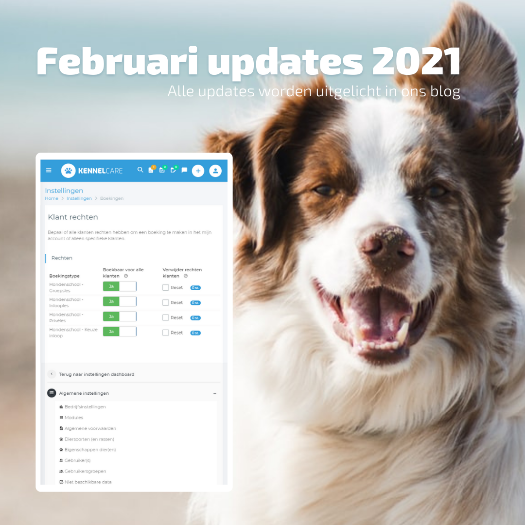 KennelCare updates februari 2021 met: Klant rechten,  dier eigenschappen,  In-en-uitchecken ongedaan maken,  verplaatsen privélessen en meer!
