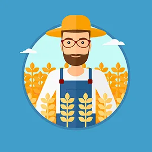 harvest