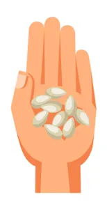 seeds