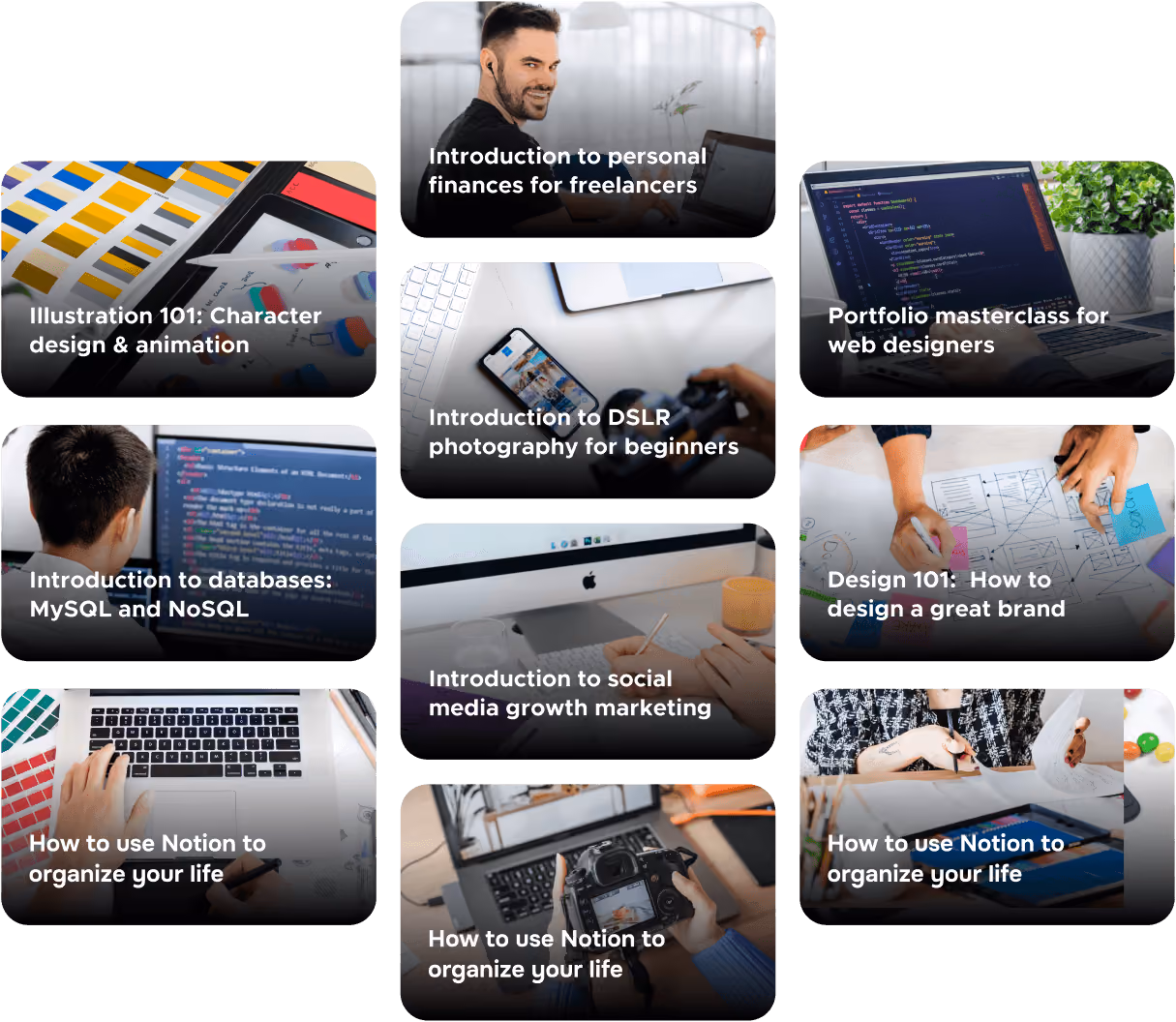 More Than 500 Courses - eLearner X Webflow Template