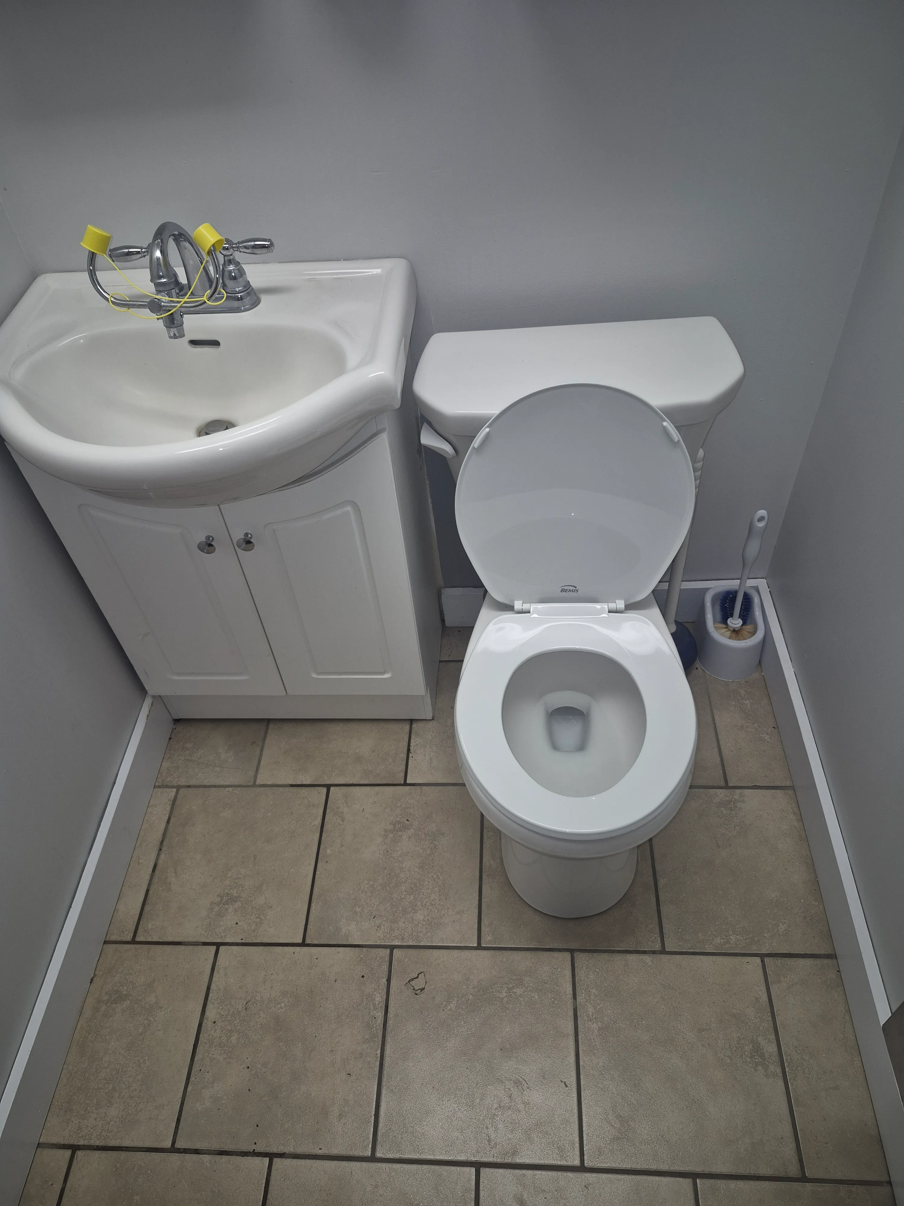 Installed toilet and adjacent pedestal basin in a compact bathroom.