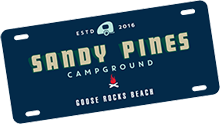 30 Days to Impact: How Sandy Pines Turned Campground Clicks into Bookings
