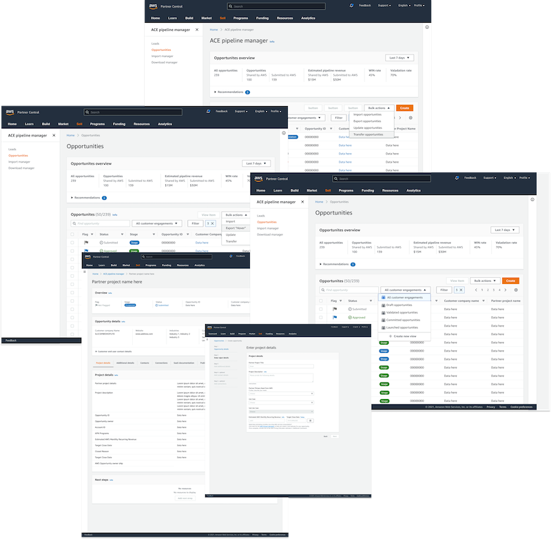ACE Leas & Opportunities