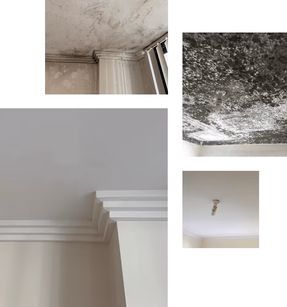 Comparison photos showing results of mould removal on walls and ceilings