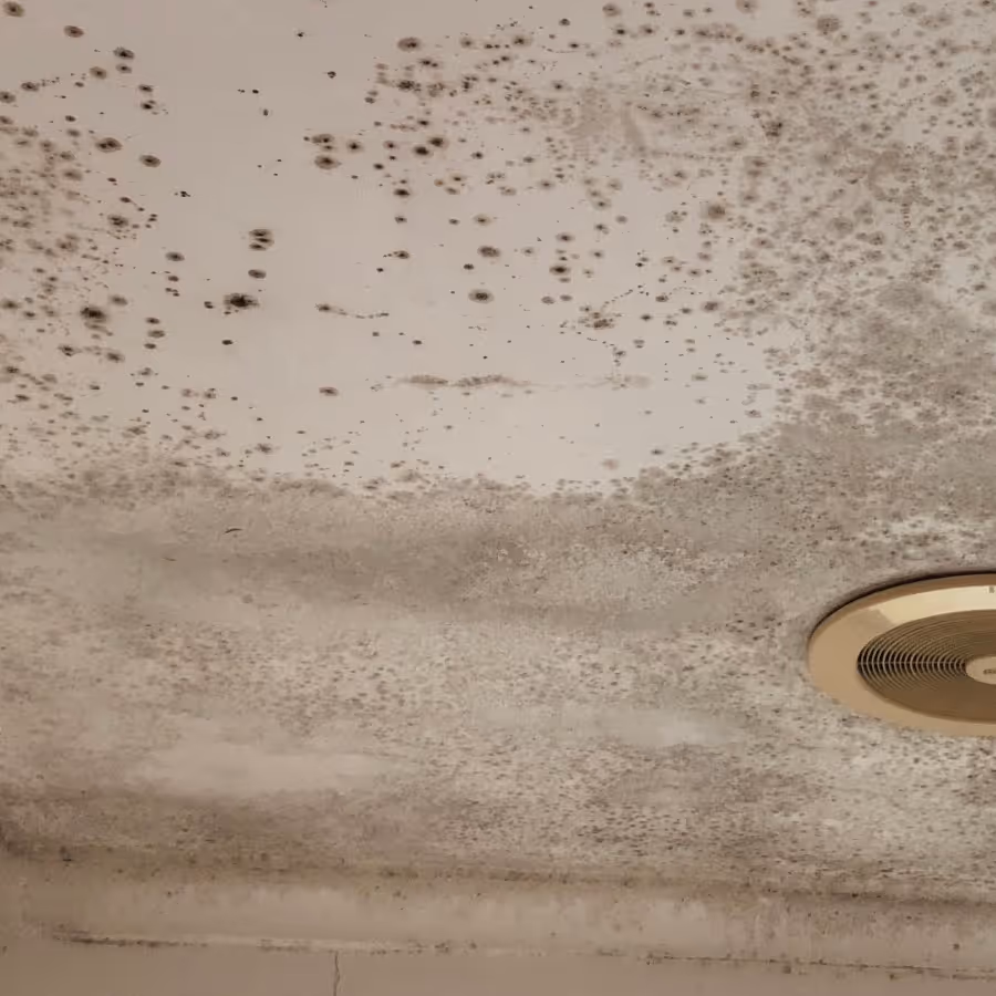 Artarmon bedroom ceiling with mould grwothe requiring professional mould remediation