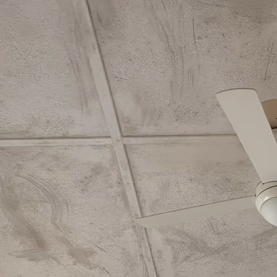 Willoughby mould removal required to a bedroom ceiling