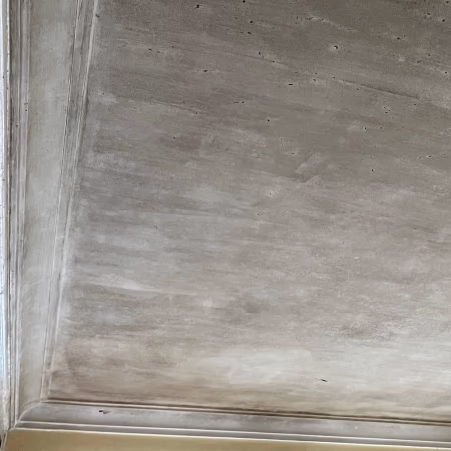 Strathfield home suffering from mould growth on ceilings