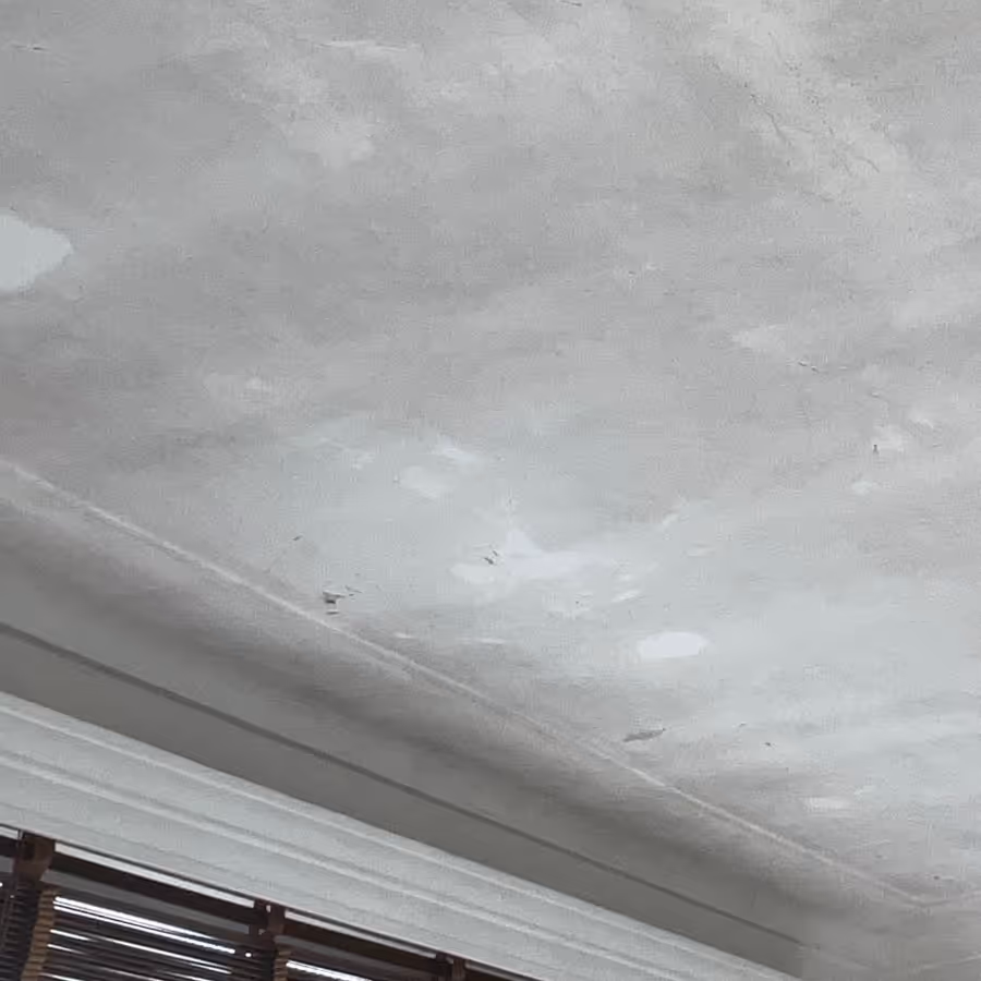Family home in Gosford with mould spread across the ceiling