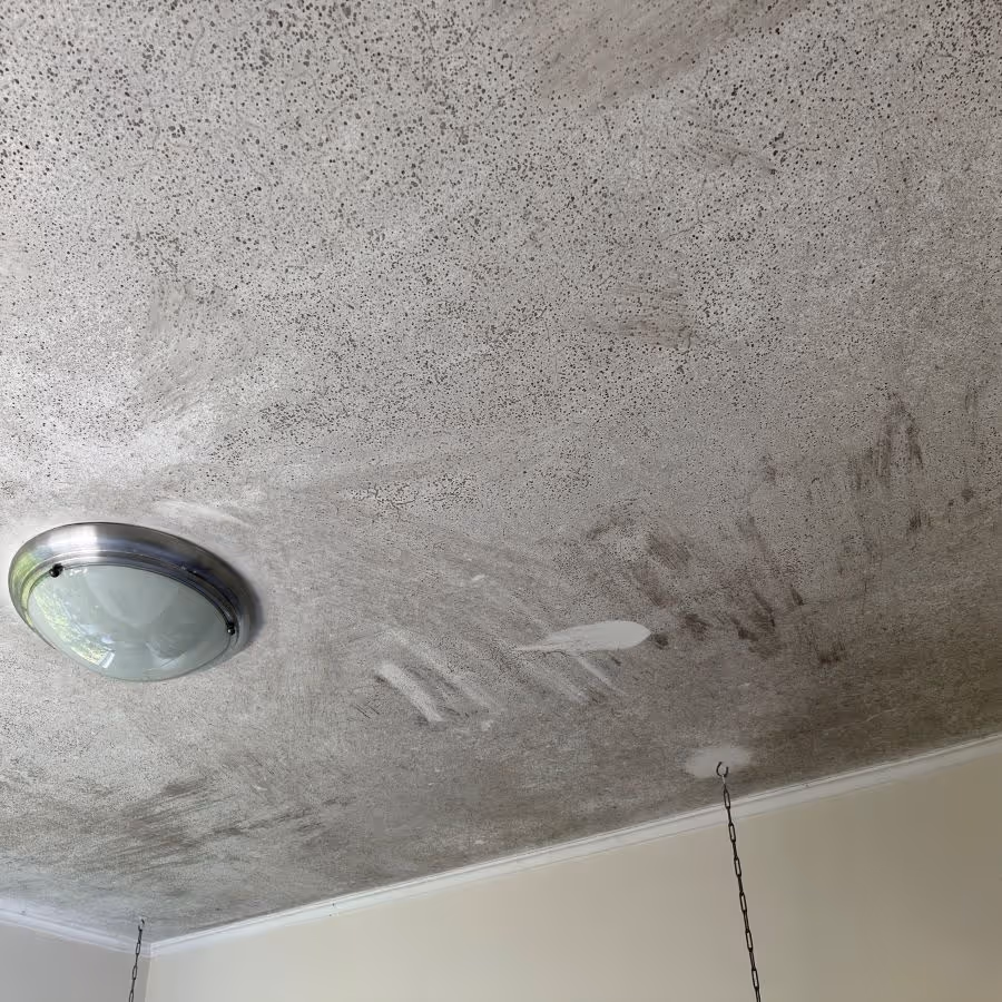 Willoughby mould removal required to a bedroom ceiling