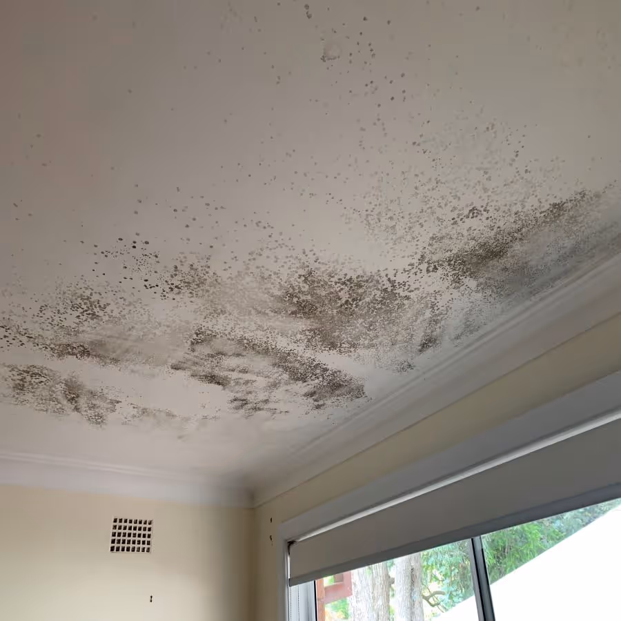 a property in Frenches Forest with mould in the bedroom
