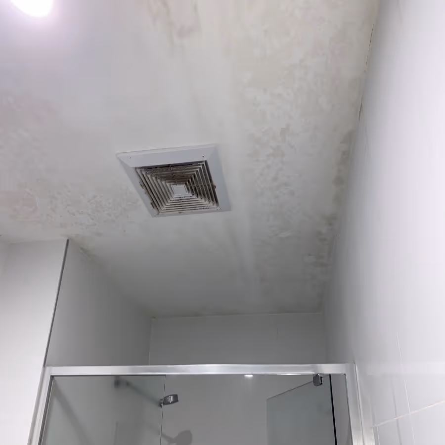Mold growth covering the ceiling of a home in The Entrance